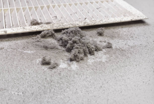 Best Affordable Duct Cleaning Services  in Roaring Spring, PA