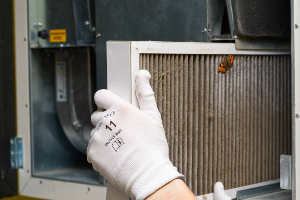 Best Dryer Vent Cleaning Services  in Roaring Spring, PA
