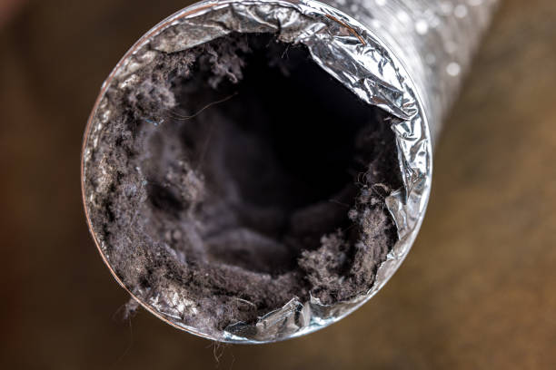 Best Duct Cleaning for Offices  in Roaring Spring, PA